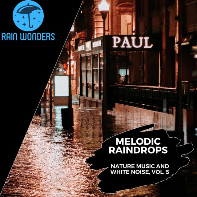 Melodic Raindrops - Nature Music and White Noise, Vol. 5 - Rain Sounds