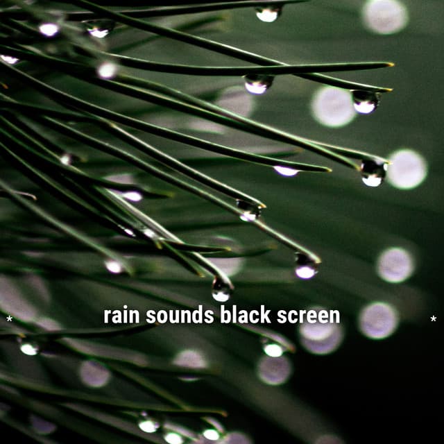 * rain sounds black screen * - Lightning, Thunder and Rain Storm
