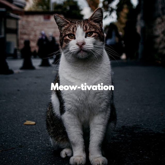 Meow-tivation - For Cats Only