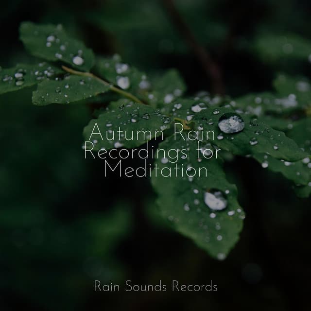 Autumn Rain Recordings for Meditation - MEDITATION SPA