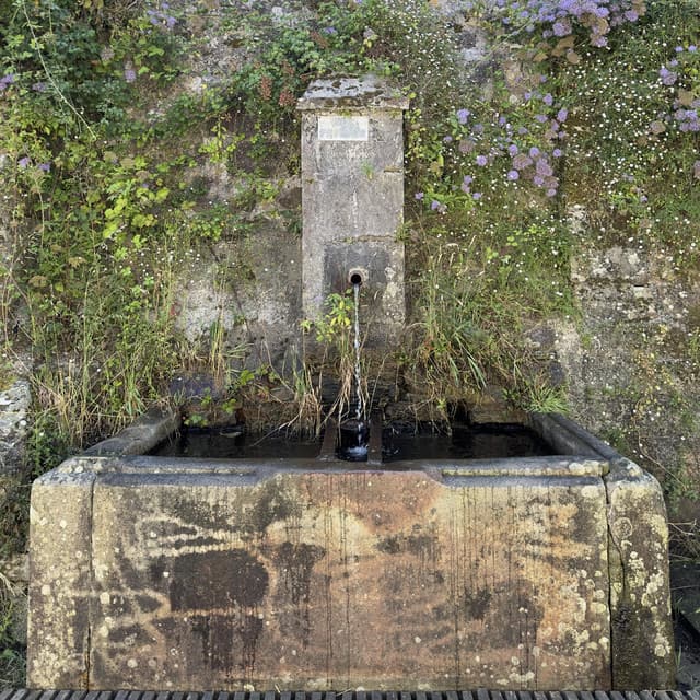 A Spontaneous Breaking of Symmetry II. - Armen Nalbandian