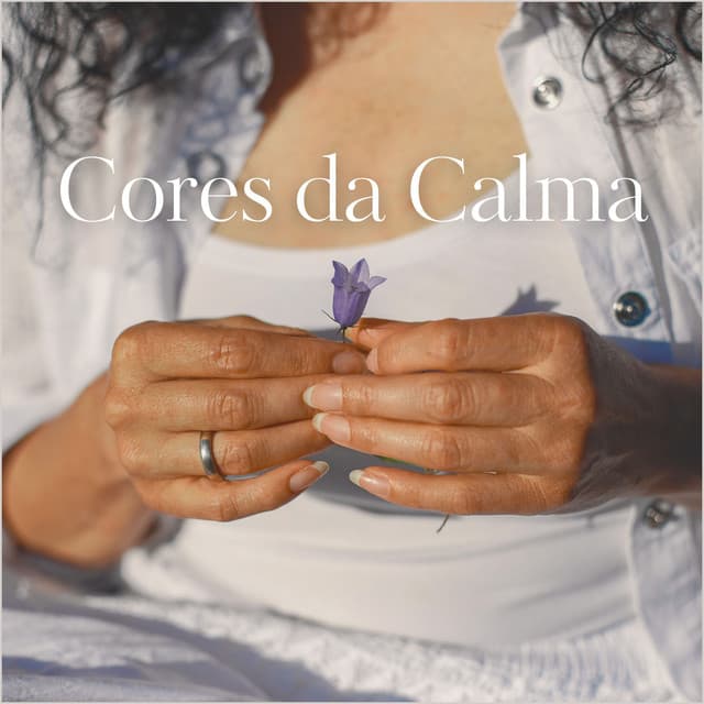 Cores da Calma: A Beleza do Agora - Academia de Meditação Buddha