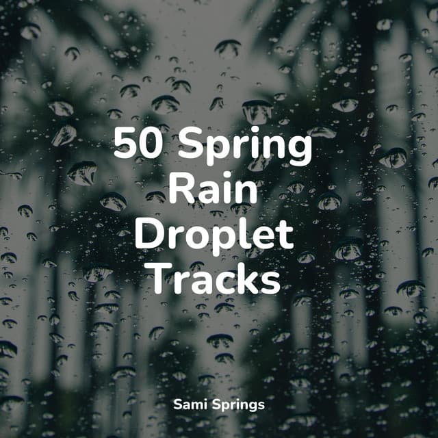 50 Spring Rain Droplet Tracks - The Rain Library