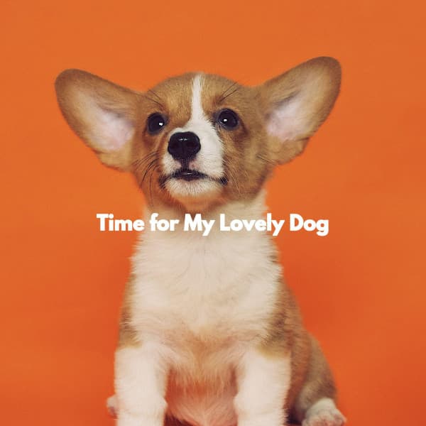 Time for My Lovely Dog - Bossa Nova Cafe Music