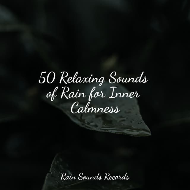 50 Relaxing Sounds of Rain for Inner Calmness - Nature Sounds
