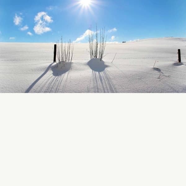 Coffee Time - Extraordinary - Relaxing Music Playlist