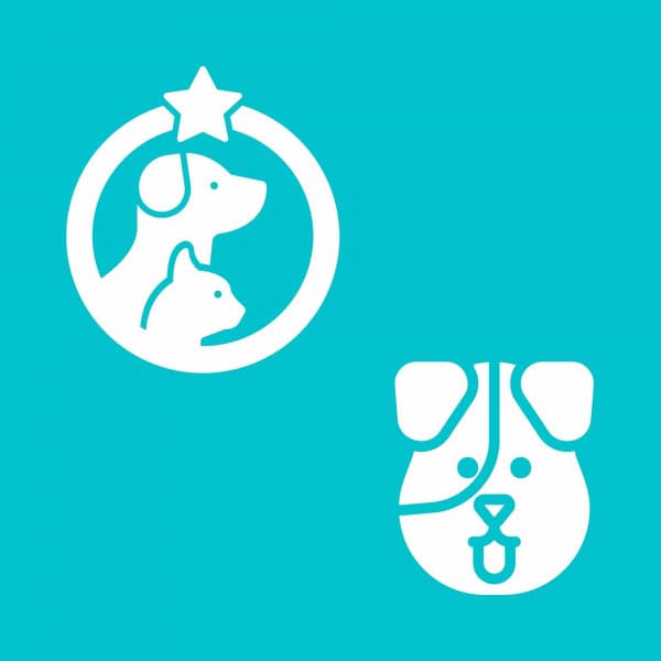 Music for A Lovely Dog - Extraordinary Jazz Quartet - Calming Jazz For Dogs