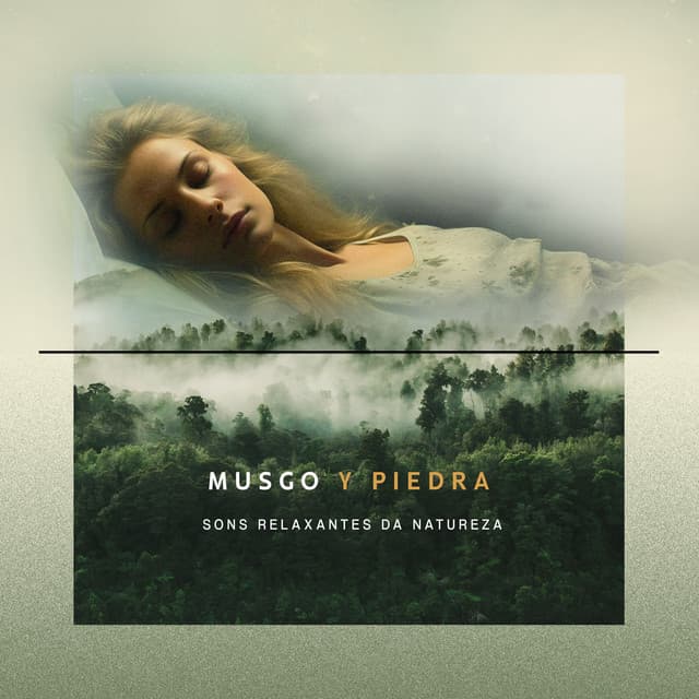 Musgo y Piedra - Sons Relaxantes Da Natureza