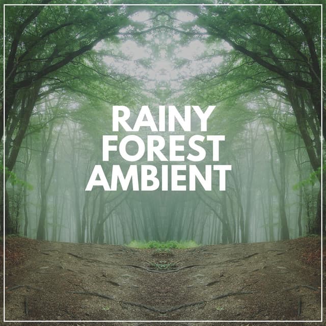Rainy Forest Ambient - Organic Sound