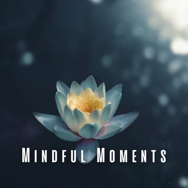 Mindful Moments: Ambient Music and Deep Meditation - Healing Meditation Relaxing Music Channel