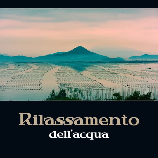 Rilassamento dell'acqua - Sperimentare la calma dei suoni dell'acqua, Onde, pioggia, cascata e fiume - Santuario dei suoni della natura
