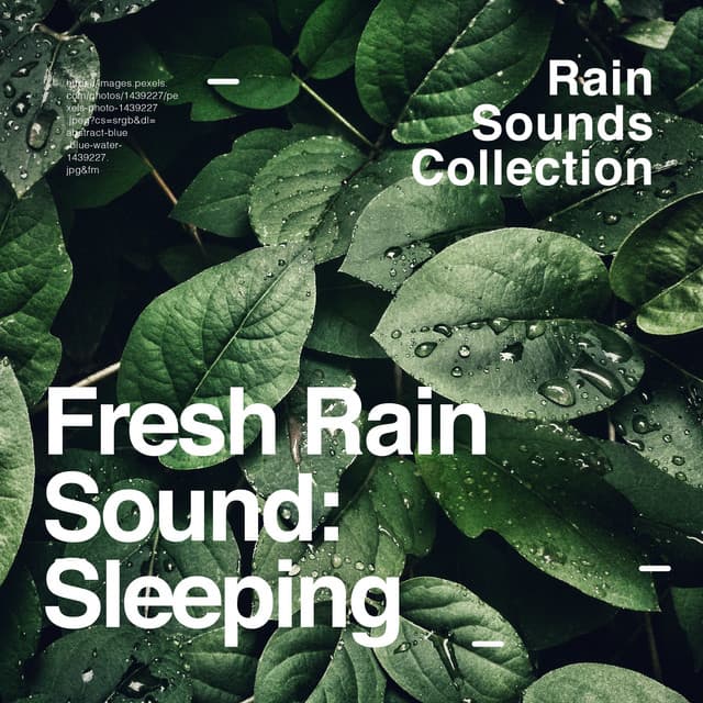 Fresh Rain Sound: Sleeping - Rain Sounds Collection