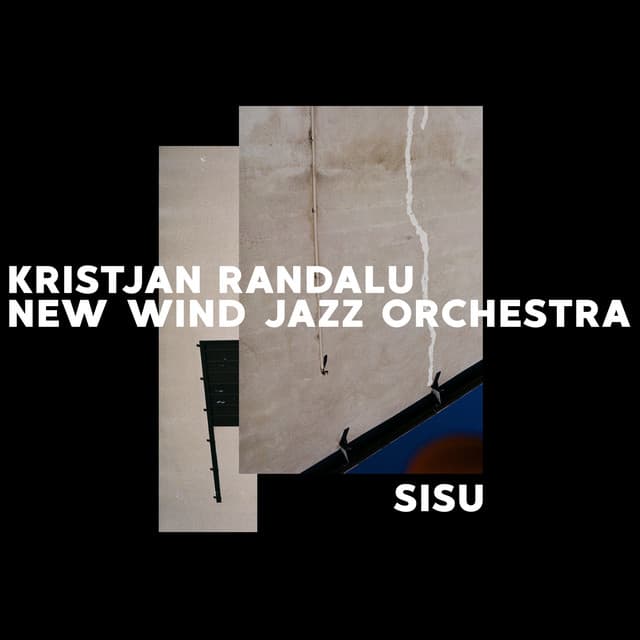 Sisu - Kristjan Randalu
