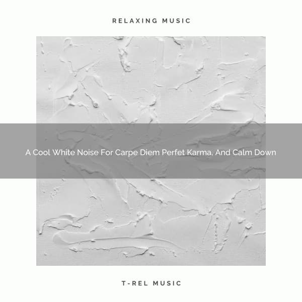 A Cool White Noise For Carpe Diem Perfet Karma, And Calm Down - White Noise Pleasant Sounds