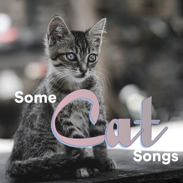 Some Cat Songs - Some Cat Music