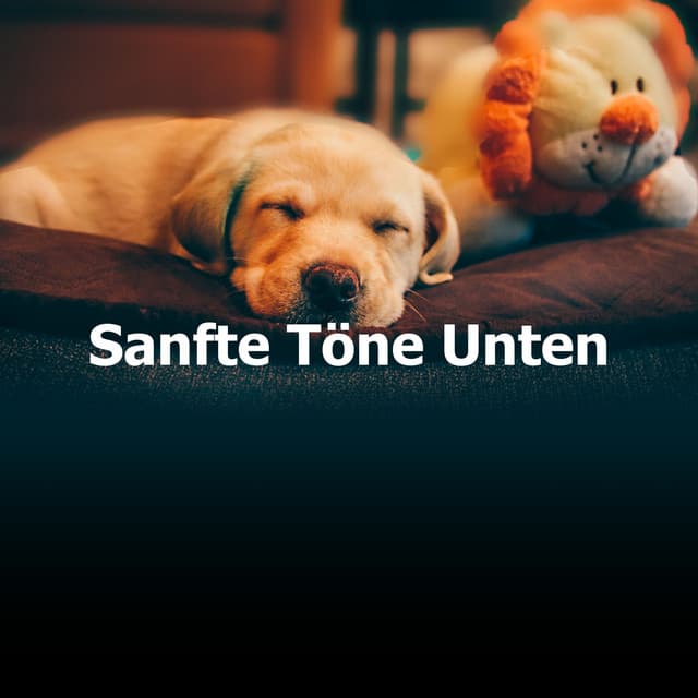 Sanfte Töne Unten - Hundemusikk
