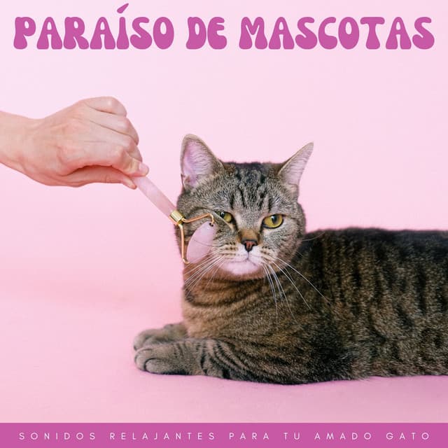 Paraíso De Mascotas: Sonidos Relajantes Para Tu Amado Gato - Los SubOceaners