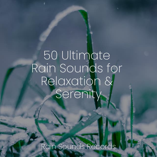 50 Ultimate Rain Sounds for Relaxation & Serenity - Rain Sound Studio