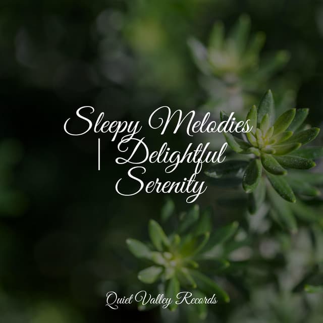 Sleepy Melodies | Delightful Serenity - Ruído Branco