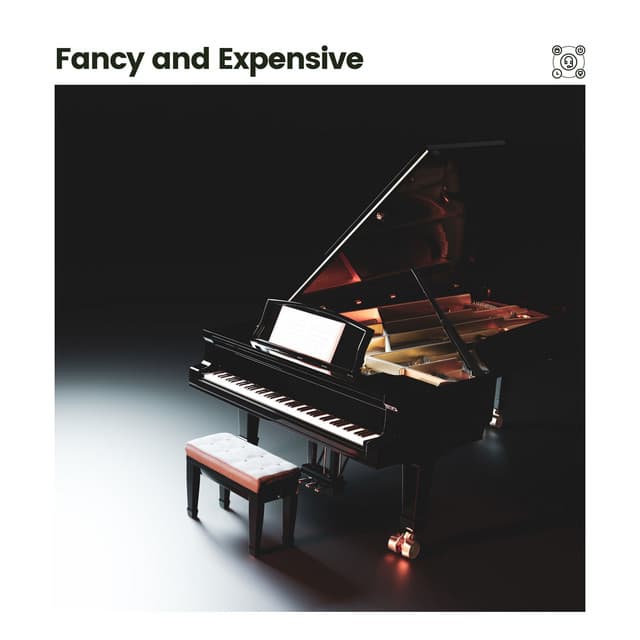 Fancy and Expensive - Relaxing Piano Crew