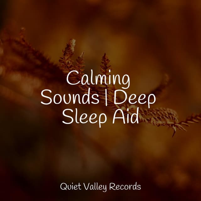 Calming Sounds | Deep Sleep Aid - Música relaxante