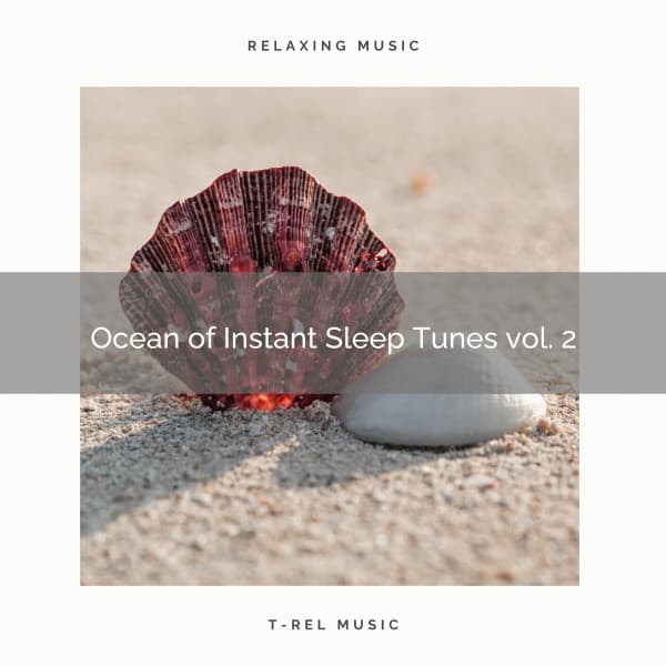 ! ! ! ! ! ! Ocean of Instant Sleep Tunes vol. 2 - Ocean Sounds Collection