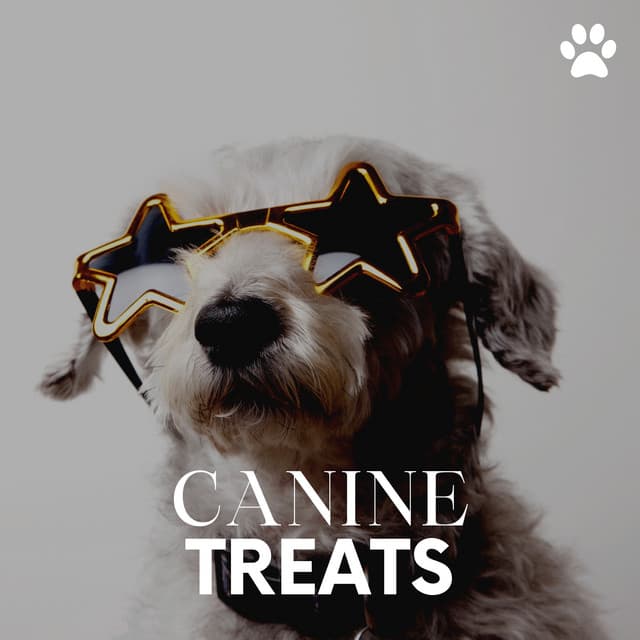 Canine Treats - Calming for Dogs