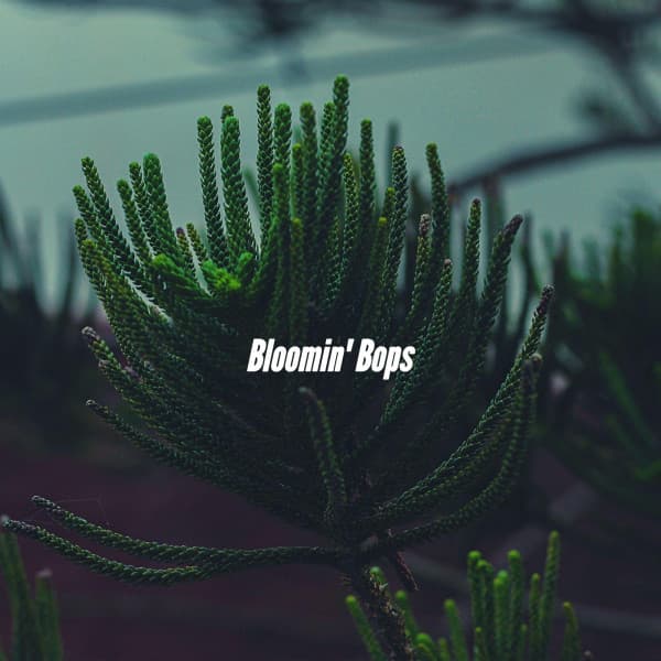 Bloomin' Bops - Lounge Smooth Jazz Deluxe