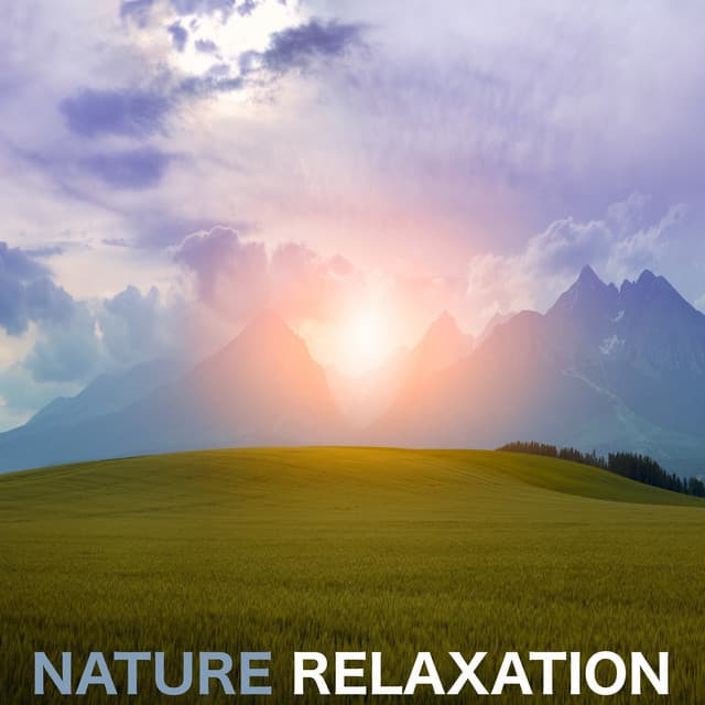 Nature Relaxation - Sleep Sounds of Nature