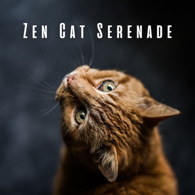 Zen Cat Serenade: Piano Meditations for Calming Cats - Classy Piano Jazz Background