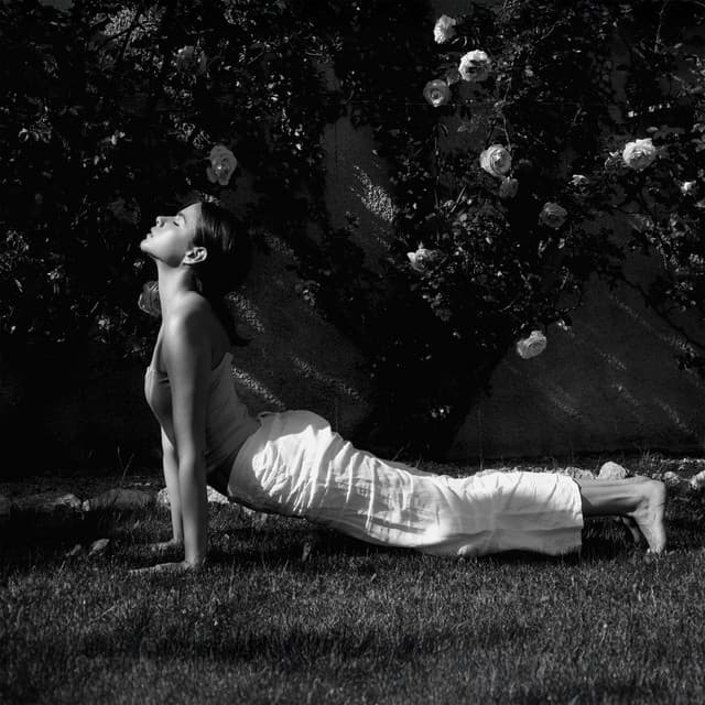 Embracing the Cosmic Flow, Yoga - Joga Relaxing Music Zone