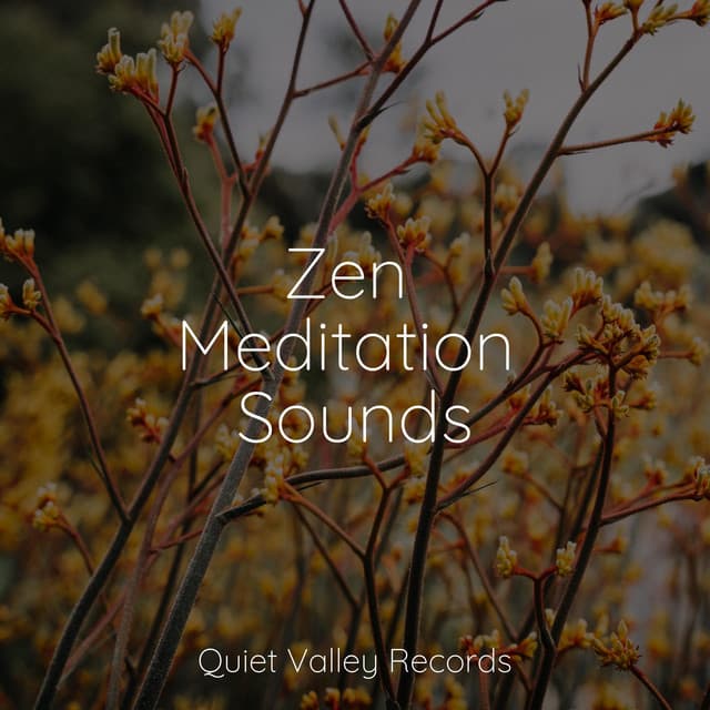 Zen Meditation Sounds - The Sleep Specialist