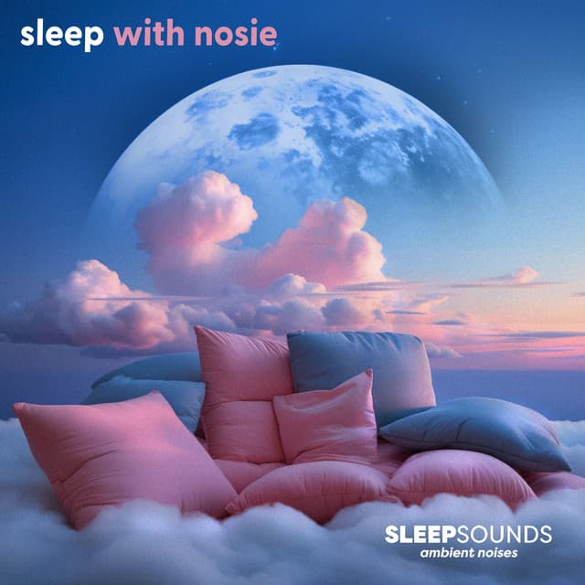 Sleep With Nosie - Sleep Sounds Ambient Noises