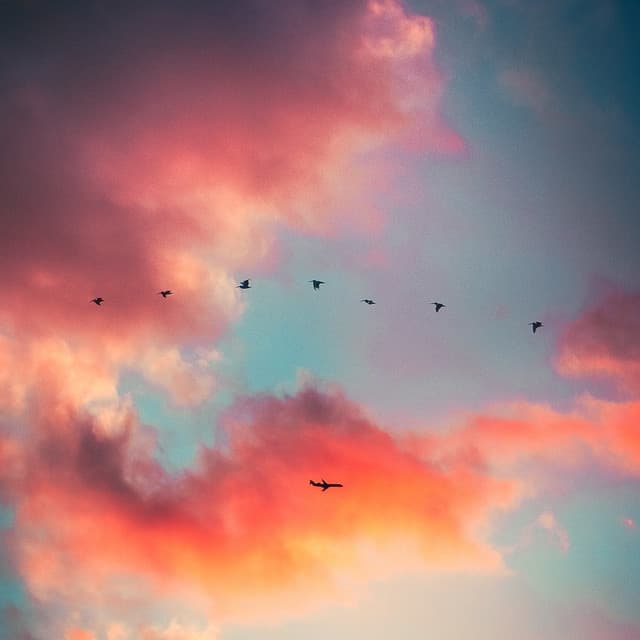 Sueño rápido Bebé sentarse Volver Ruido - Sonido Blanco