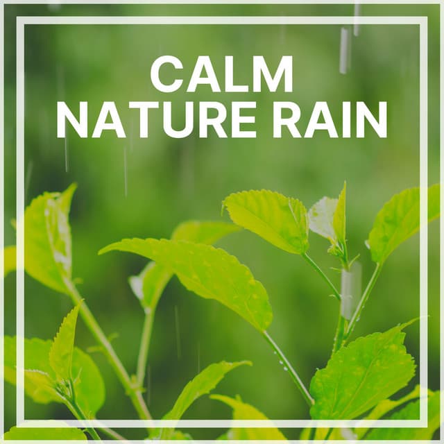 Calm Nature Rain - Natural Rain Sounds for Sleeping