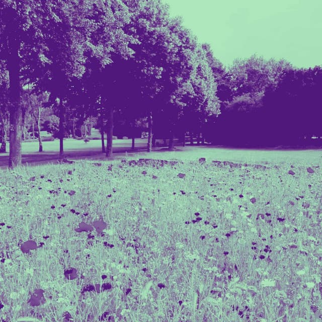 Acoustic and Electric Piano Jazz Duo - Bgm for Music Reflection - Musique pour Dormir