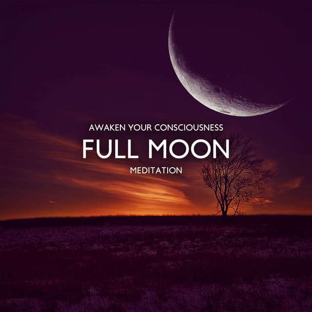 Awaken Your Consciousness - Deep Sleep Maestro Sounds