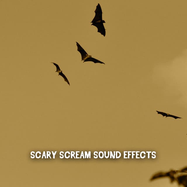 Scary Scream Sound Effects - Spooky Halloween Sounds