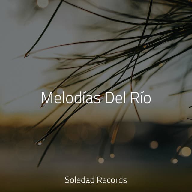 Melodías Del Río - Yoga Para Ninos