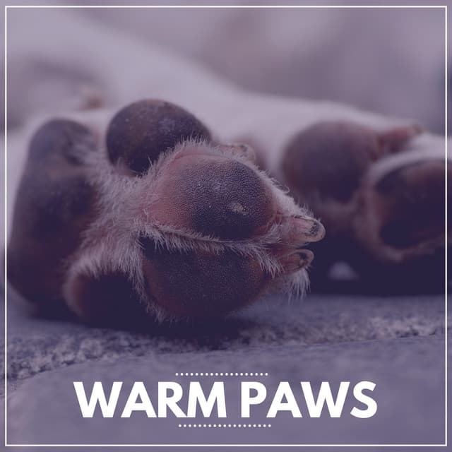 Warm Paws - Calming for Dogs