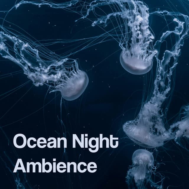 Ocean Night Ambience - Ocean Noises
