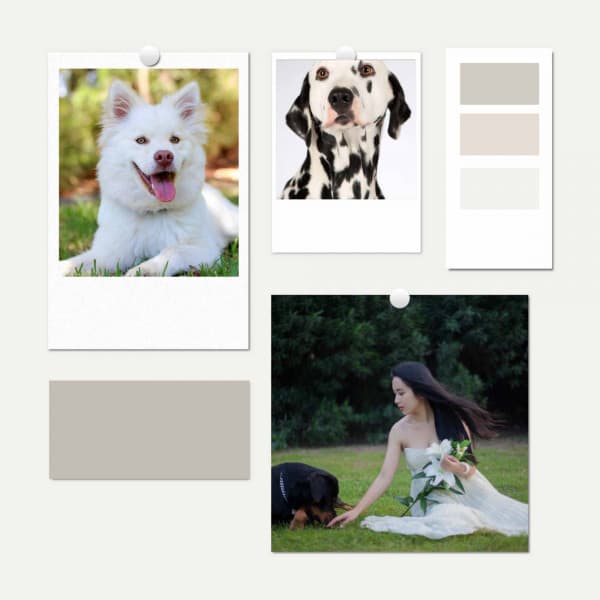 Music for Doggy Dreams - Dogs at Home