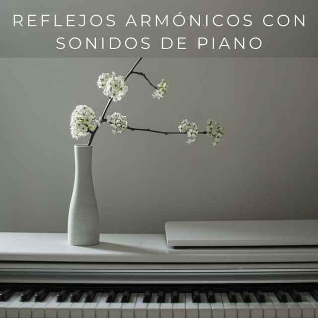 Reflejos Armónicos Con Sonidos De Piano - Adoración Música Piano