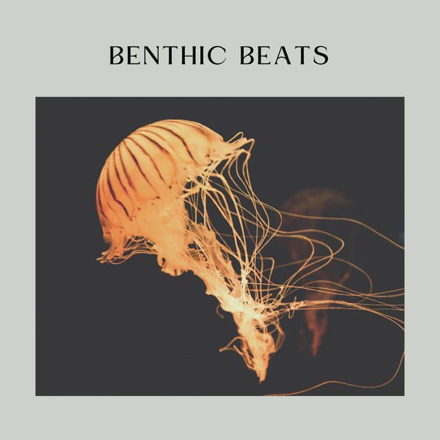 Benthic Beats - Relaxing Sea Sounds