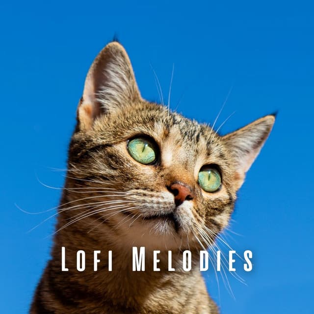 Lofi Melodies: Ambient Sounds for Serenading Cats - LOFI