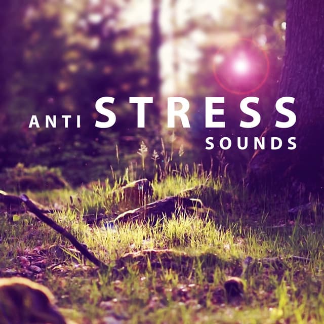 Anti Stress Sounds – Nature Noise for Relaxation, Singing Birds, Soothing Water, Soft Music - Various Artists