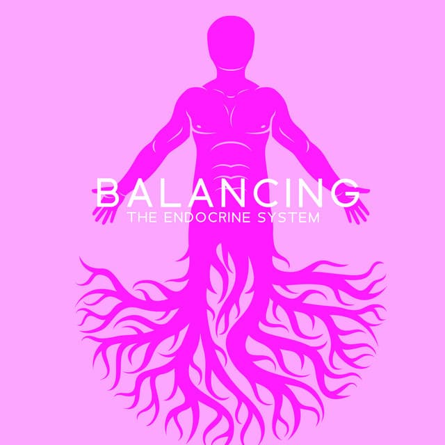 Balancing the Endocrine System: Be at Peace, Stress Relief Helper - Anysia Mysti