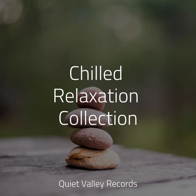 Chilled Relaxation Collection - Nature Ambience
