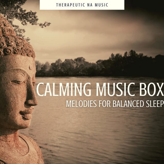 Calming Music Box Melodies for Balanced Sleep - Therapeutic NA Music