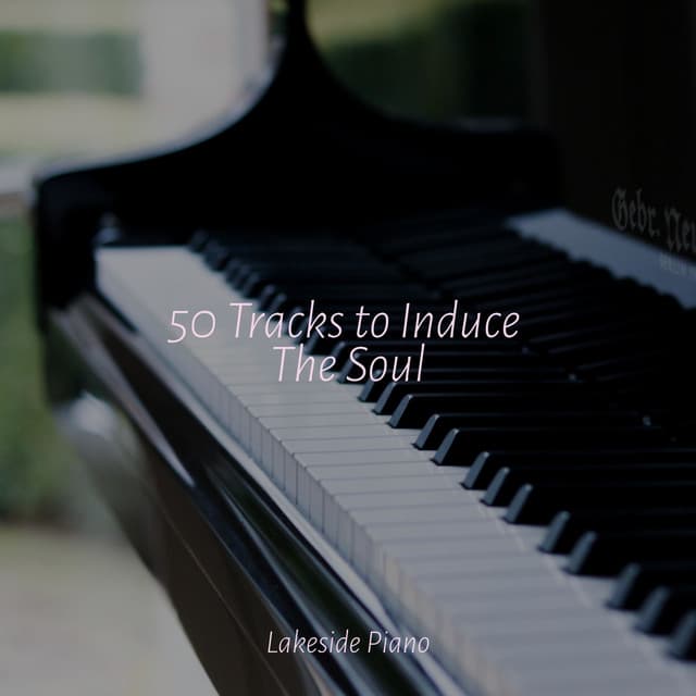 50 Tracks to Induce The Soul - Deep Sleep Relaxation